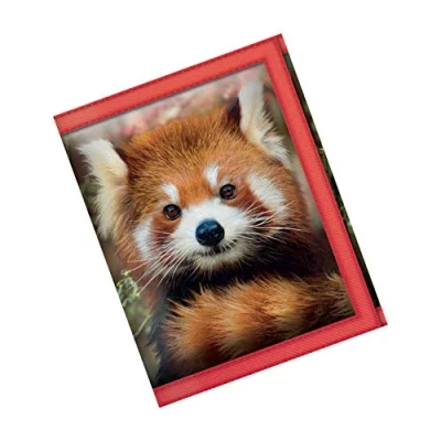 Immagine di Deluxebase 3D LiveLife Portafoglio Cucciolo di Panda Rosso Portafogli Animale Selvatico lenticolare 3D. Porta contanti, monete e carte con grafica realizzata dal rinomato artista David Penfound