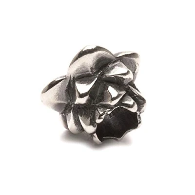 Immagine di Trollbeads Charm, Argento Sterling 925,multicolore