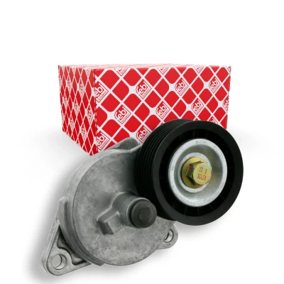 Immagine di FEBI BILSTEIN 19824 Tendicinghia FORD: Focus Mk1 Hatchback, Station Wagon, Transit Connect Van