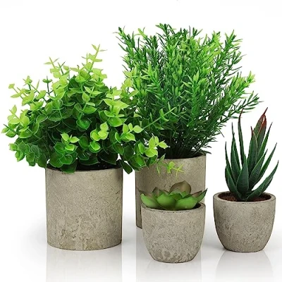 Immagine di BELLE VOUS 4 Pezzi Piante Finte da Interno Grasse Finte, Eucalipto e Sansevieria Piccole in Plastica Piantine Artificiali per Ufficio, Scrivania, Camera Letto, Cucina o Casa