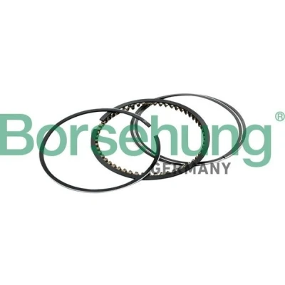 Immagine di Kit fasce elastiche Borsehung B10367
