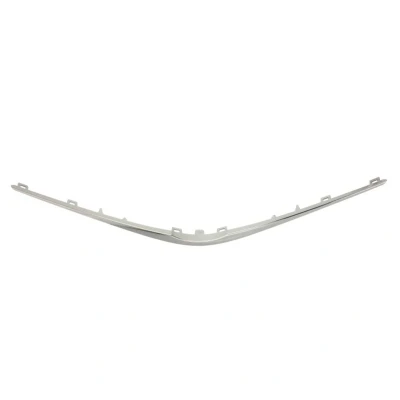 Immagine di Striscia di rivestimento/protezione, griglia del radiatore BLIC 6502 07 8156211Q