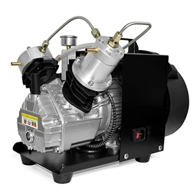 Immagine di TUXING compressore d&#039;aria Pcp 4500Psi, per bombole da sub, ad alta pressione mini doppio cilindro riempimento di paintball/scuba 220V (TXEDM041)