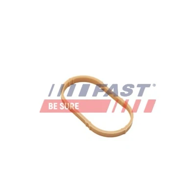 Immagine di FAST FT49461 Guarnizione Collettore Aspirazione Entrata FPM (Fluoro Caucciù) RENAULT: Kangoo I, CLIO 2, MEGANE DACIA: Duster SUV