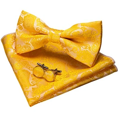 Immagine di JEMYGINS Papillon Uomo Giallo2 Paisley Design Regolabile in Diversi Colori Partito cena di gala con Fazzoletto e Gemelli
