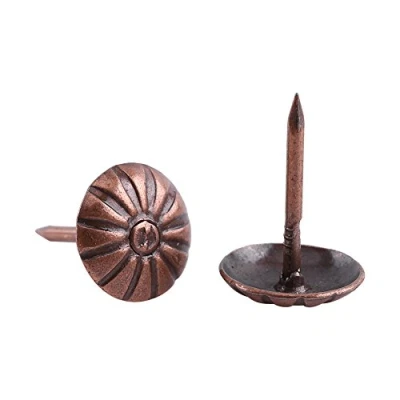 Immagine di Walfront 100Pz Generico Rotondo a Testa Larga Chiodo, Liscio/Margherita/Quadrato/Prugna Chiodo per Il Pacchetto di Decorazione del Sofà(Crisantemo 11 x 16mm)
