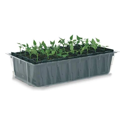 Immagine di Haxnicks Tierra Garden Deep Rootrainers Seed e Taglio Kit di propagazione