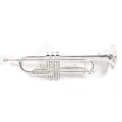 Immagine di Roy Benson Bb Trumpet TR 202S (costruzione in ottone resistente, con custodia rettangolare leggera, set di zaini, valvole acciaio inossidabile qualità superiore), placcata argento.