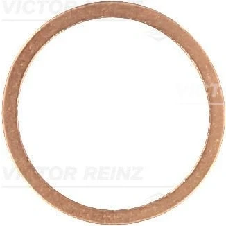 Immagine di REINZ 41 70166 00 Guarnizione Tappo Coppa Olio Rame BMW: 3 Touring, 5 X5