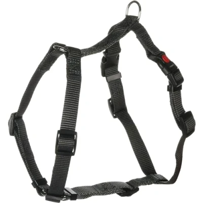 Immagine di Flamingo Pettorina per cani H Ziggi Grigio scuro S 35 50 cm 15 mm Regolabile in continuo con anello legare un guinzaglio fibbia a clic e pulsante di sicurezza