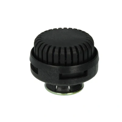 Immagine di Silenziatore, sistema di aria compressa DT Spare Parts 1.18361