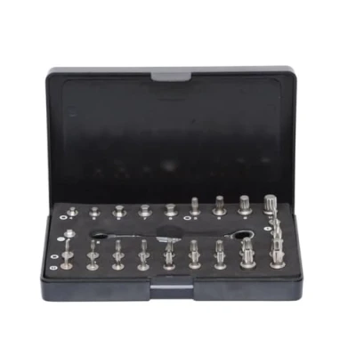 Immagine di KS TOOLS 503.4670 Set, Inserto Cacciavite (punte) 32