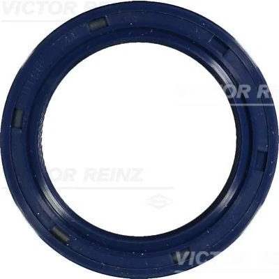 Immagine di REINZ 81 53774 00 Paraolio Albero a Camme