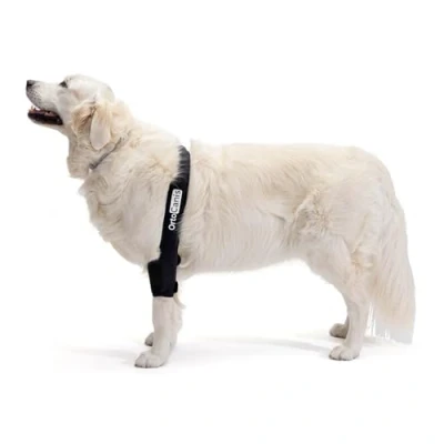 Immagine di Ortocanis Tutore per il Gomito del Cane con Artrosi, Lesione ai Legamenti, Ulcere, Piaghe o Calli, Instabilità della Zampa, Taglia M, Zampa Destra