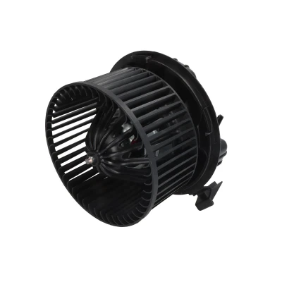 Immagine di Soffiante interna THERMOTEC DDR029TT
