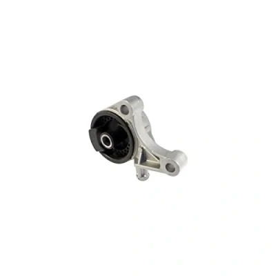 Immagine di DELPHI TEM006 Supporto motore OPEL: Zafira A, Astra G CC, Caravan