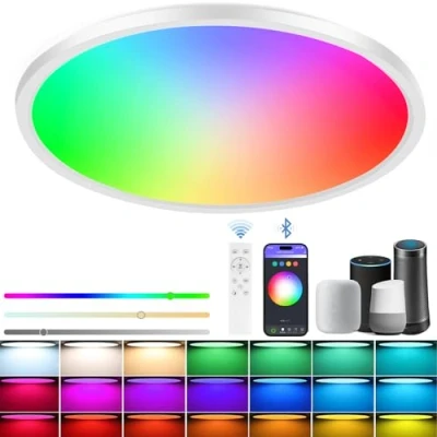 Immagine di Rawhui Plafoniera LED Soffitto Dimmerabile, 24W 3400LM Smart Lampadario Soggiorno RGB Compatibile con Alexa e Google, Controllo Remoto App, 30 cm Plafoniere Rotonde per Camera Bagno Cucina
