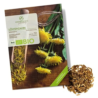 Immagine di Semi di denti leone biologiche erbe aromatiche da coltivare in cucina, sul balcone, orto rialzato e giardino
