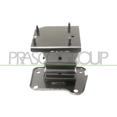 Immagine di PRASCO DS7121604 Supporto, Paraurti anteriore Sx NISSAN: Qashqai 2