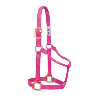 Immagine di Weaver Leather Cavezza per cavalli, in nylon, non regolabile, colore rosa