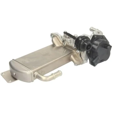 Immagine di Delphi Technologies EG10576 12B1 Valvola EGR