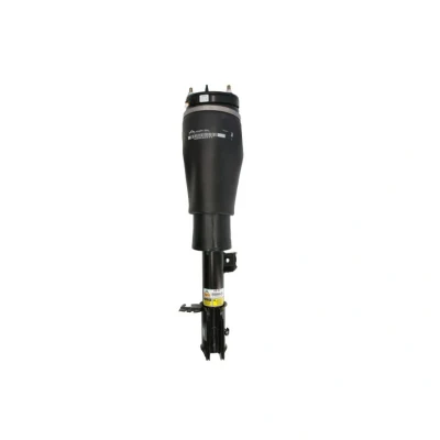 Immagine di Arnott AS 2961 Gamba elastica con ammortiz. pneumatico anteriore Dx LAND ROVER: Range Rover 3