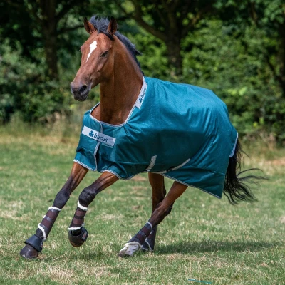 Immagine di Bucas Affluenza atlantica 50g Verde Lunghezza posteriore: 120 cm &amp; inferiore 160