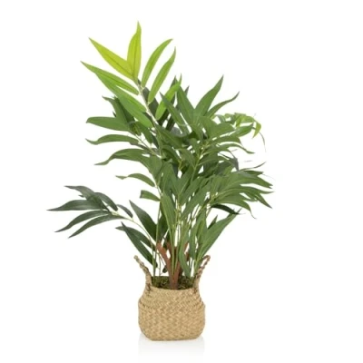 Immagine di HJH Office 871014 pianta Artificiale CHAMAEDOREA Palma di Montagna con Cesto, Altezza 65 cm, Decorazione Ambiente