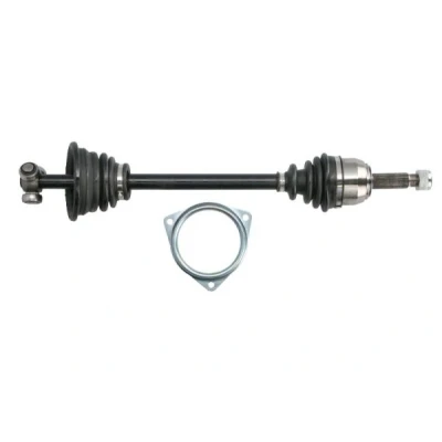 Immagine di PASCAL G2R016PC Albero motore / Semiasse Assale anteriore Sx 600 RENAULT: Super 5 Hatchback, Rapid Van