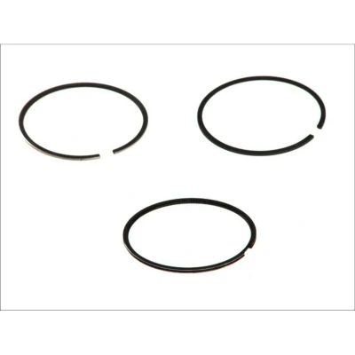 Immagine di GOETZE ENGINE 08 139500 00 Kit Fasce Elastiche 81 VOLKSWAGEN: Golf 5, Caddy 3, Touran I, AUDI: A3 Sportback, A4 B7 Avant, Hatchback