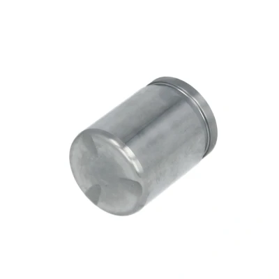 Immagine di AUTOFREN SEINSA D025235 Pistone, Pinza freno 38
