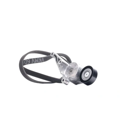 Immagine di SKF VKMA 31091 Kit cinghie Poly V VOLKSWAGEN: Transporter 5 Bus, Caddy 3, Multivan (7HM, SEAT: Alhambra I