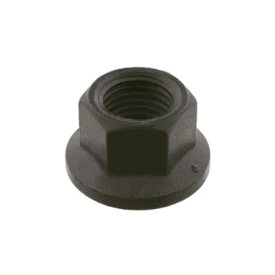 Immagine di FEBI BILSTEIN 01221 Dadi Ruota Flangia piatta 19