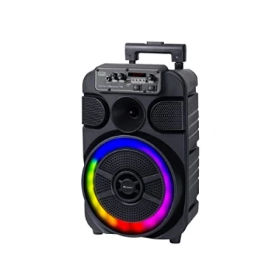 Immagine di Trevi XFest XF 460 KB Altoparlante Amplificato 40W, Cassa Wireless Portatile con Microfono Incluso per Karaoke, Presa USB, Micro SD, AUX IN, TWS, Batteria Integrata