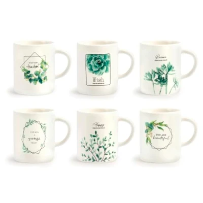 Immagine di H&amp;h set 6 tazze caff porcellana botanic senza piatto cc90