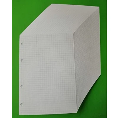 Immagine di 100 Fogli (200 Pagine) con 4 buchi in Formato A5 14,5 x 20,5 cm. per raccoglitore anelli QUADRETTI 5 mm. Carta 120G/Mq
