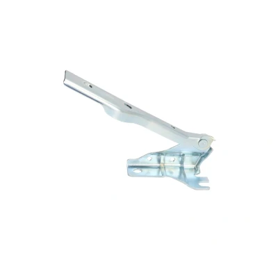 Immagine di BLIC 6802 00 9507452P Cerniera, Cofano motore VOLKSWAGEN: Polo V Hatchback