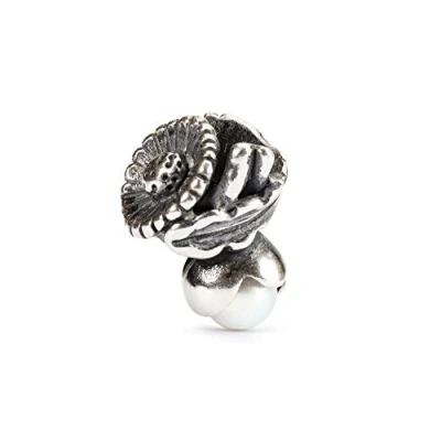 Immagine di Trollbeads Bead, Argento Sterling 925, Donna