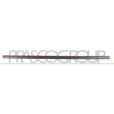 Immagine di PRASCO VG0341404 Modanatura VOLKSWAGEN: Golf 4