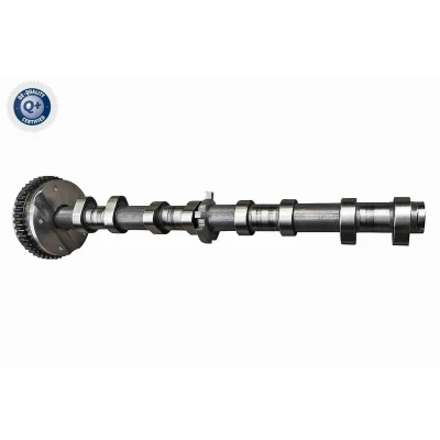 Immagine di VAICO V10 5584 Albero a camme Lato aspirazione con albero(i) AUDI: A3 Cabrio, Sportback, Q5, VOLKSWAGEN: Tiguan I, Multivan 5 (7HM