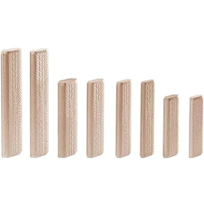 Immagine di Festool Tasselli DOMINO Faggio D 10x100/120 BU