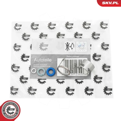 Immagine di DR.MOTOR AUTOMOTIVE DRM01373 Kit riparazione, Iniettore AUDI: A3 Hatchback, A6 C6 Avant, TT Coupe, VOLKSWAGEN: Polo V Hatchback