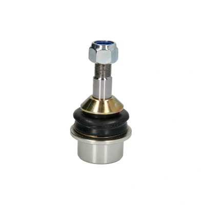 Immagine di Articolazione di supporto TEN CAR S037