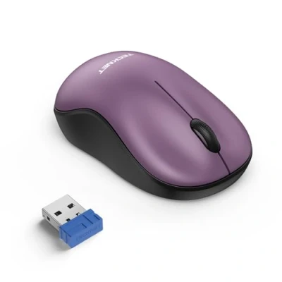 Immagine di TECKNET Mouse Wireless per Computer Portatile 2.4GHz Mini USB Compatibile con PC, Mac e Linux, 18 Mesi di Durata della Batteria