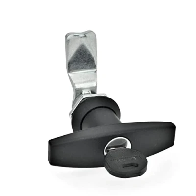 Immagine di Ganter Norm elementi GN 115 SCT 4 Chiusura Con Cilindro Chiave, 1 pezzi, nero, opaco