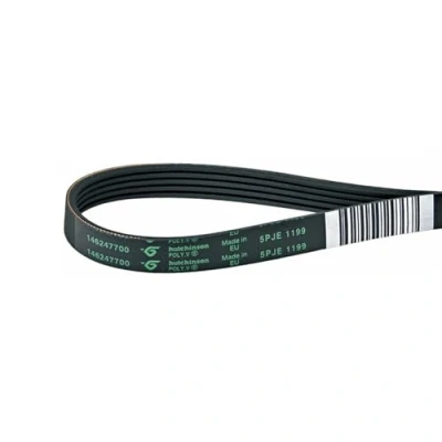 Immagine di LUTH Premium Profi Parts Cinghia a V tipo PJ Lavatrice Compatibile con AEG Electrolux 1462477009
