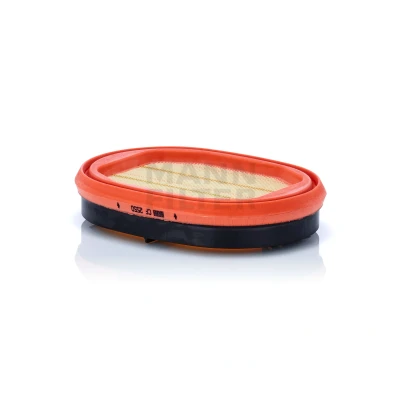 Immagine di Filtro aria secondaria MANN FILTER CF 2550