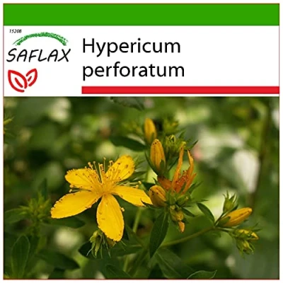 Immagine di SAFLAX Iperico 300 semi Con substrato Hypericum perforatum
