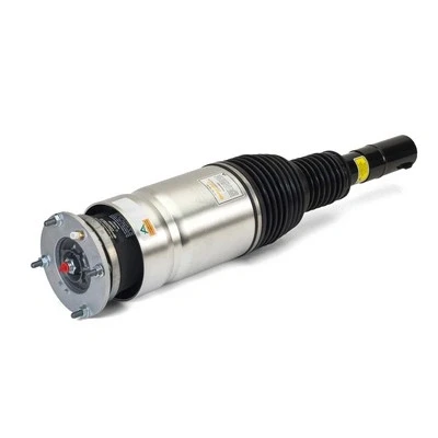 Immagine di Arnott AS 3204 Gamba elastica con ammortiz. pneumatico anteriore Dx LAND ROVER: Range Rover Sport