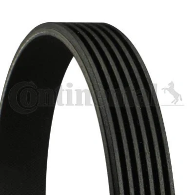 Immagine di CONTITECH 6PK880 Cinghia Poly V 880 6 TOYOTA: Yaris II Hatchback, III Hatchback